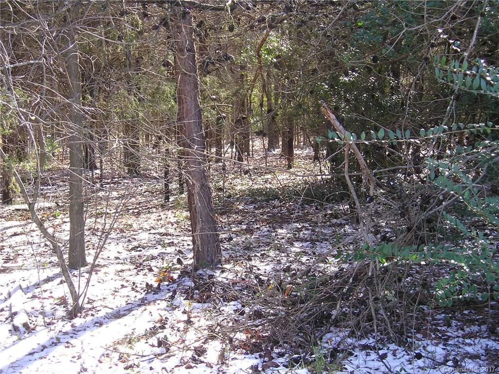 0 G B Hill Road Monroe, NC 28110 - Photo 3 of 5 Gallery Image 3