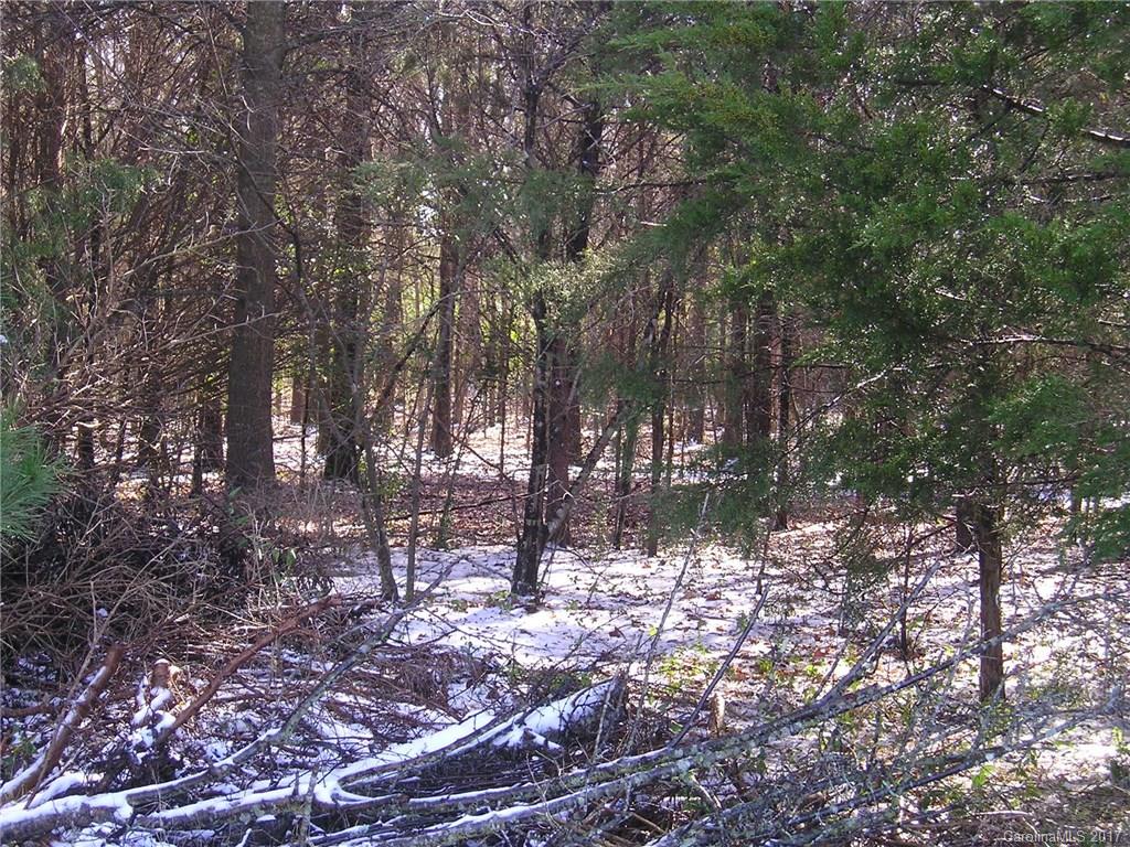 0 G B Hill Road Monroe, NC 28110 - Photo 5 of 5 Gallery Image 5