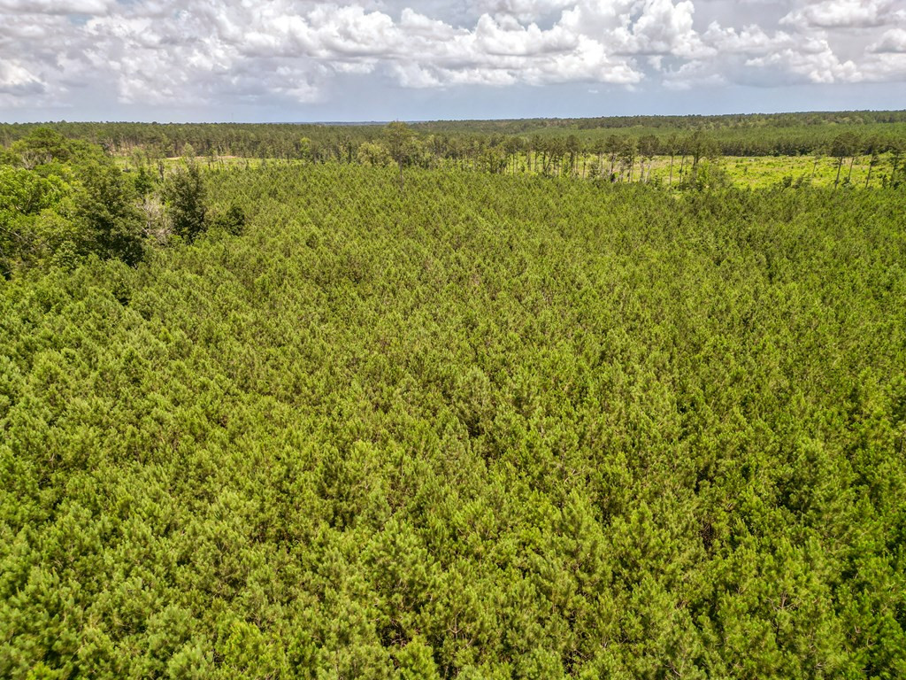 3320 Busy Corner Road Gloster, MS 39638 - Photo 11 of 29 Photo 11