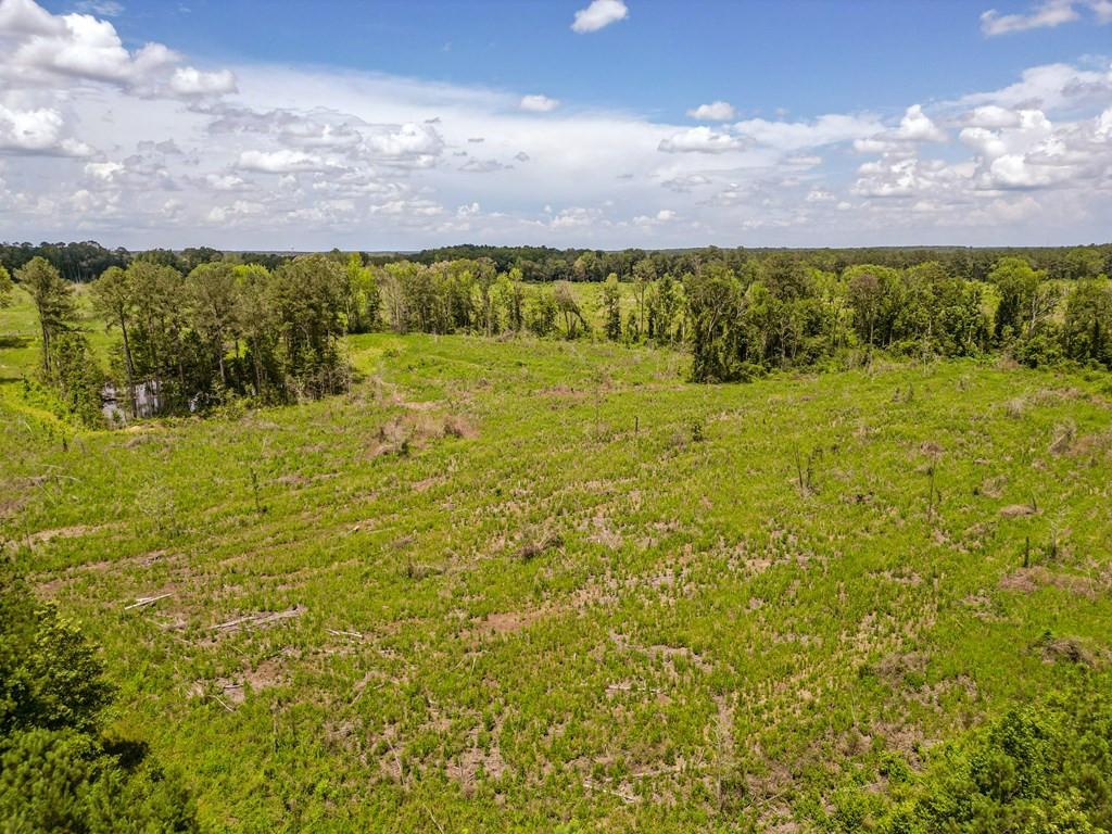 3320 Busy Corner Road Gloster, MS 39638 - Photo 12 of 29 Photo 12