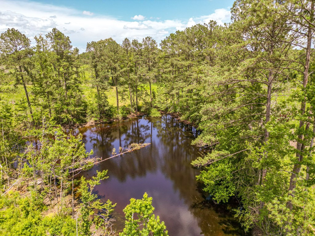 3320 Busy Corner Road Gloster, MS 39638 - Photo 13 of 29 Photo 13