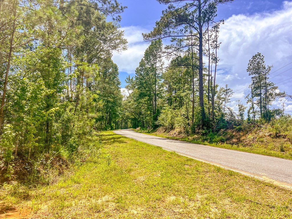 3320 Busy Corner Road Gloster, MS 39638 - Photo 15 of 29 Photo 15