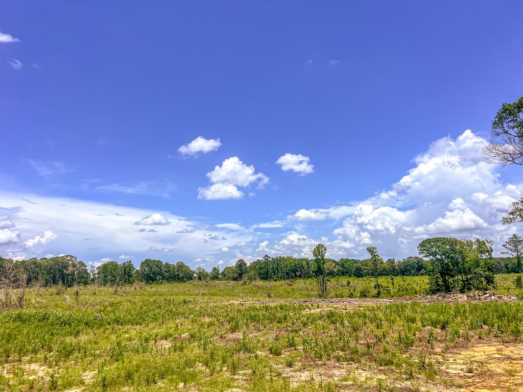 3320 Busy Corner Road Gloster, MS 39638 - Photo 18 of 29 Photo 18