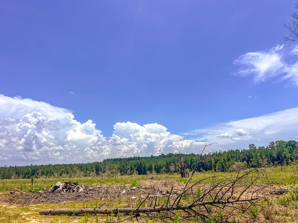 3320 Busy Corner Road Gloster, MS 39638 - Photo 20 of 29 Photo 20