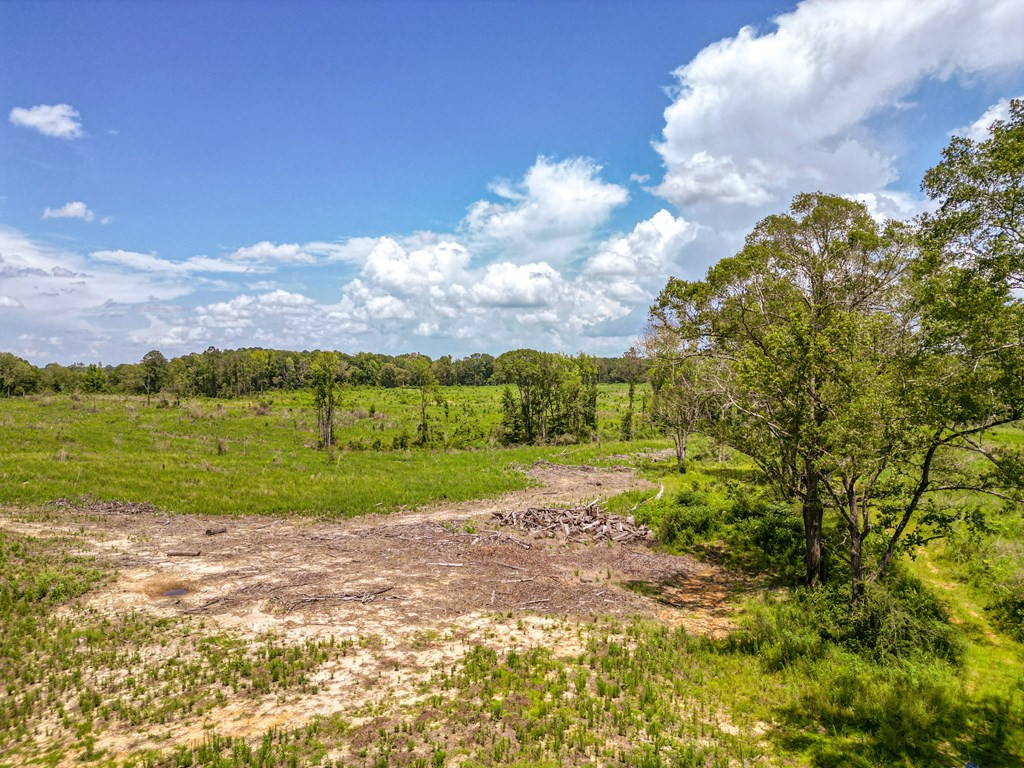 3320 Busy Corner Road Gloster, MS 39638 - Photo 2 of 29 Photo 2