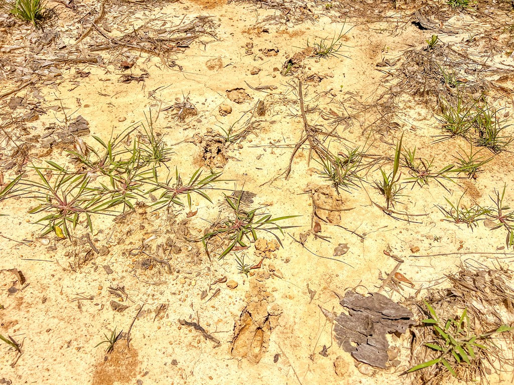 3320 Busy Corner Road Gloster, MS 39638 - Photo 21 of 29 Photo 21