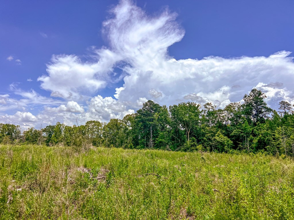 3320 Busy Corner Road Gloster, MS 39638 - Photo 23 of 29 Photo 23