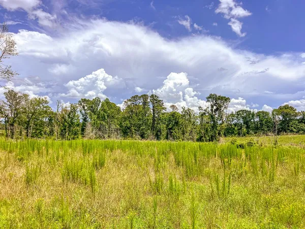 $425,000 | 3320 Busy Corner Road, Gloster, MS 39638