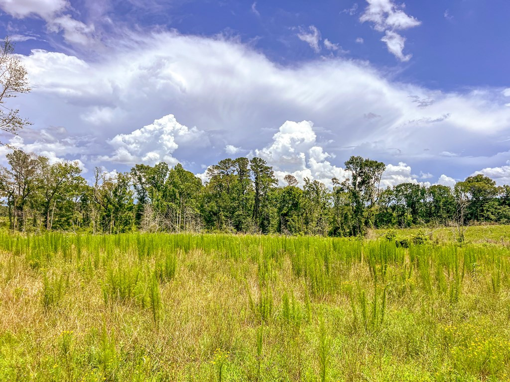3320 Busy Corner Road Gloster, MS 39638 - Photo 25 of 29 Photo 25