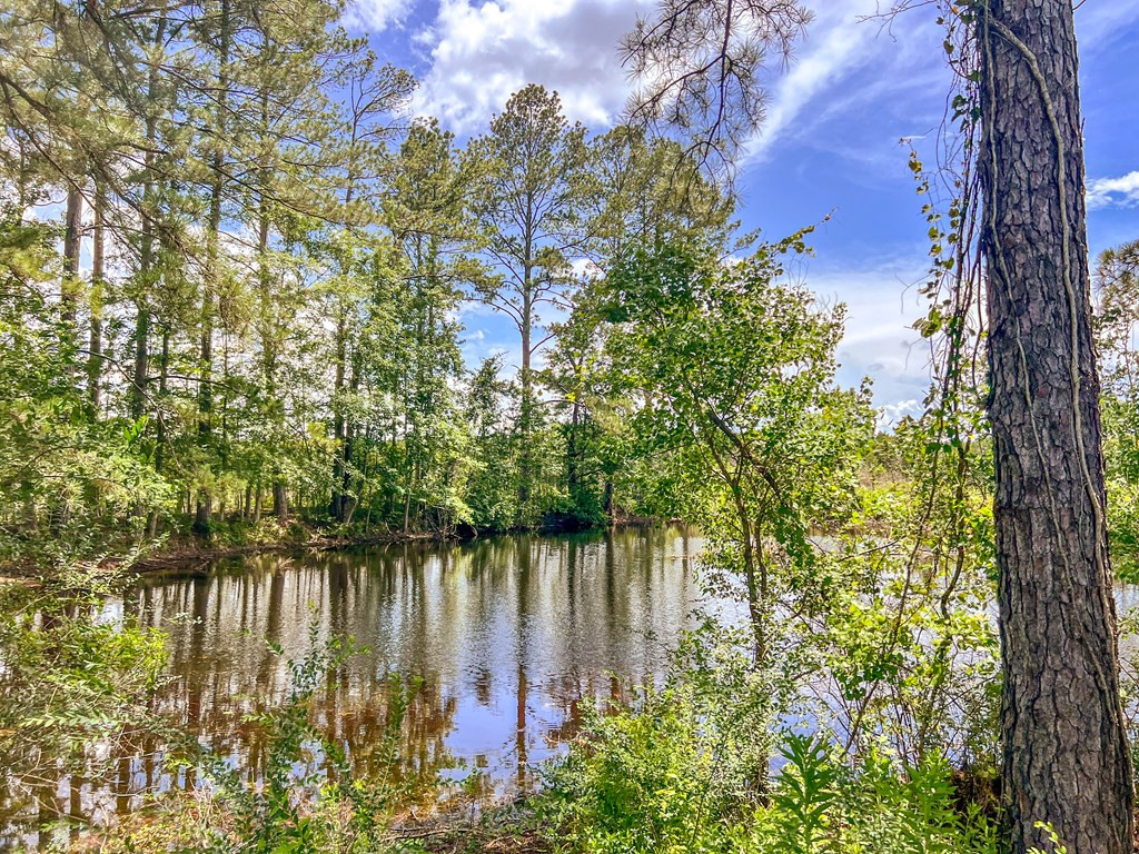 3320 Busy Corner Road Gloster, MS 39638 - Photo 26 of 29 Photo 26