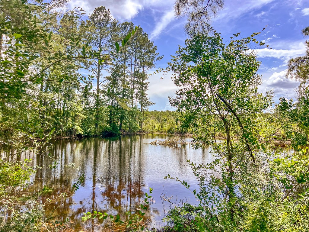 3320 Busy Corner Road Gloster, MS 39638 - Photo 27 of 29 Photo 27