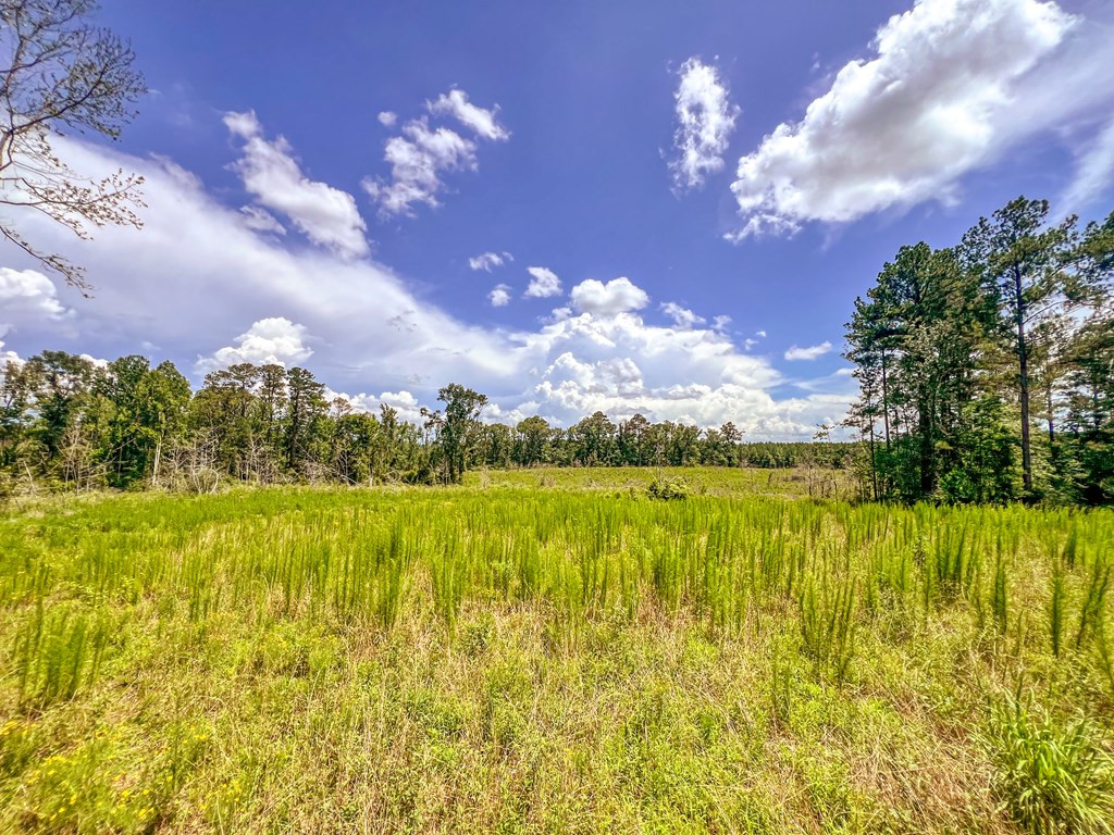 3320 Busy Corner Road Gloster, MS 39638 - Photo 28 of 29 Photo 28