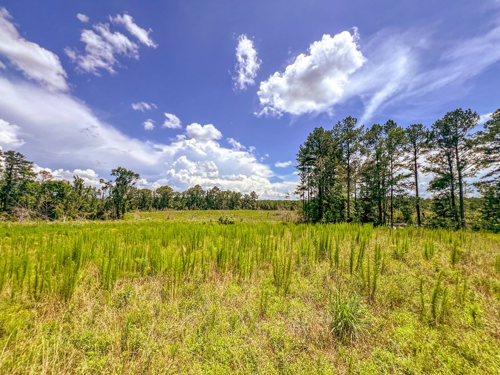 3320 Busy Corner Road Gloster, MS 39638 - Photo 29 of 29 Photo 29