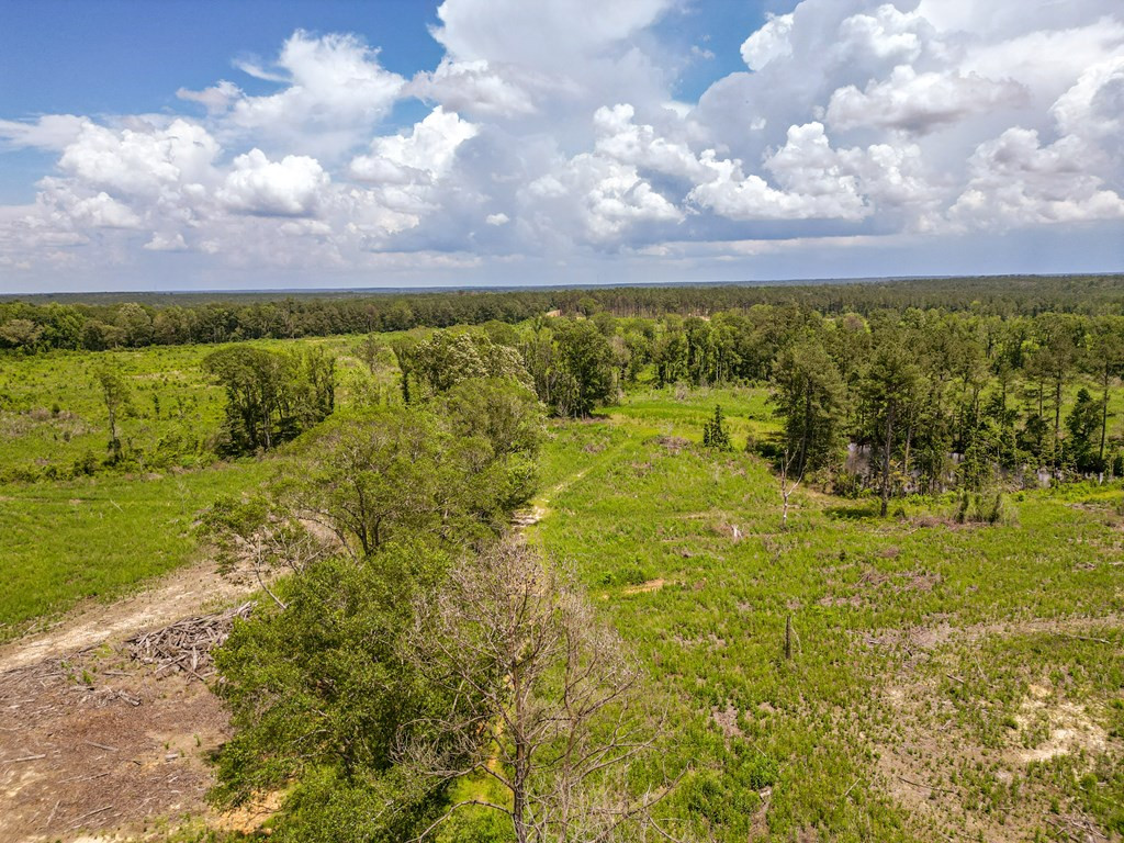 3320 Busy Corner Road Gloster, MS 39638 - Photo 3 of 29 Photo 3