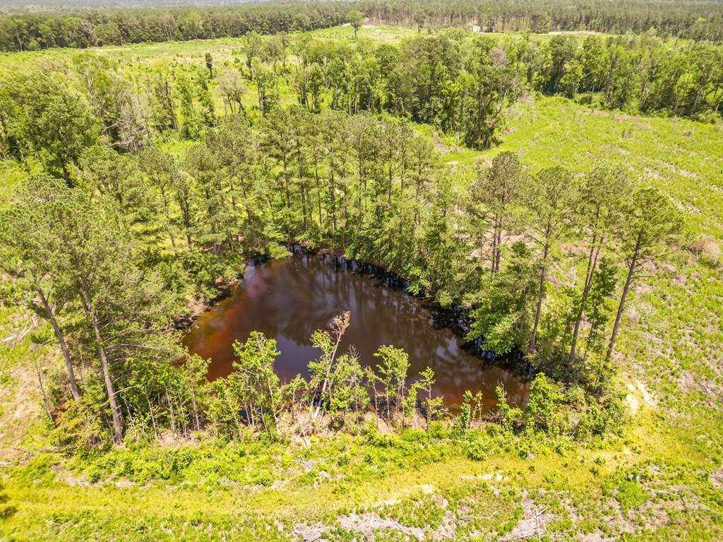 3320 Busy Corner Road Gloster, MS 39638 - Photo 4 of 29 Photo 4