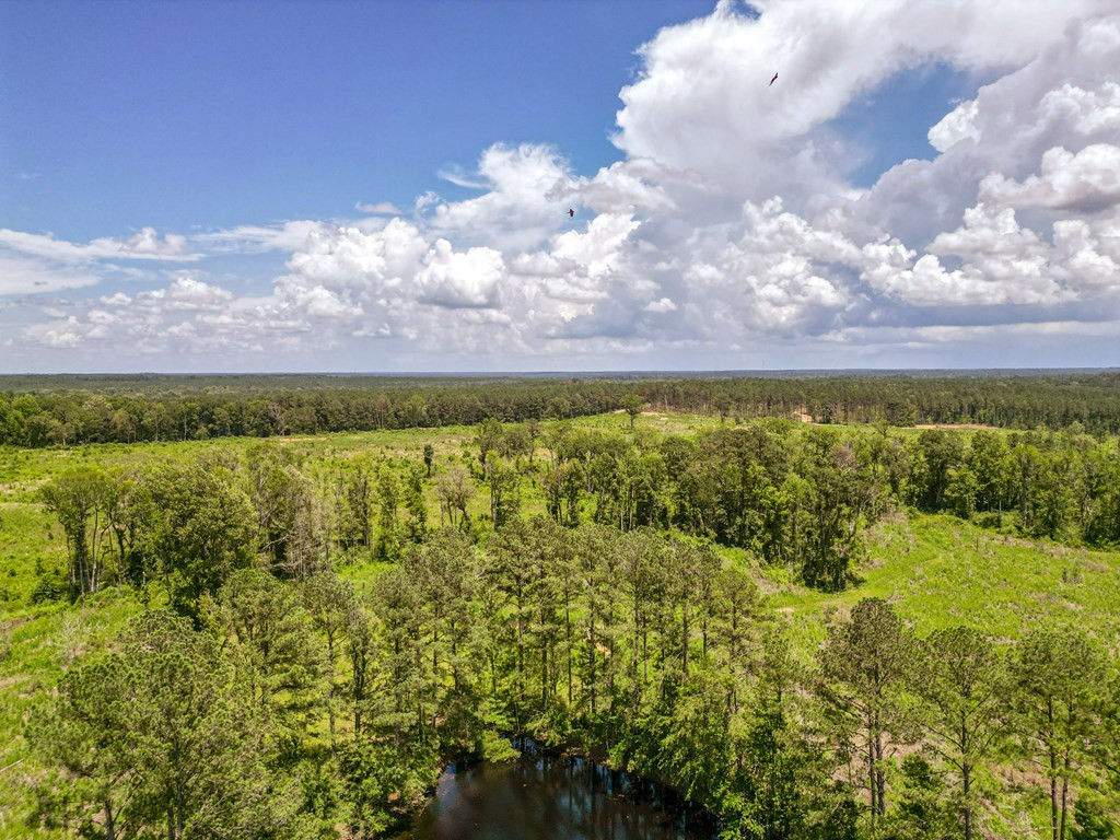 3320 Busy Corner Road Gloster, MS 39638 - Photo 5 of 29 Photo 5