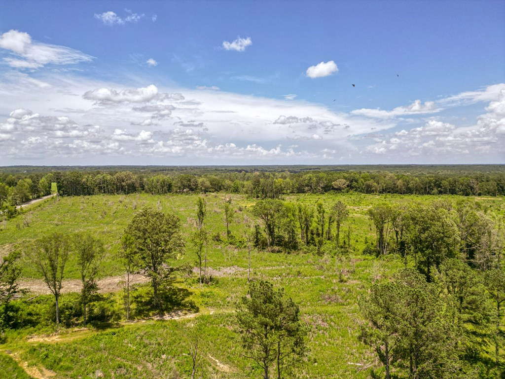 3320 Busy Corner Road Gloster, MS 39638 - Photo 6 of 29 Photo 6