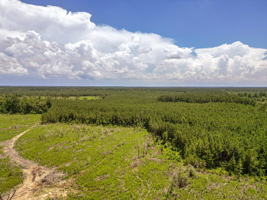 3320 Busy Corner Road Gloster, MS 39638 - Photo 7 of 29 Photo 7