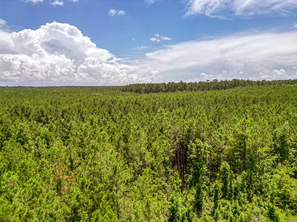 3320 Busy Corner Road Gloster, MS 39638 - Photo 9 of 29 Photo 9