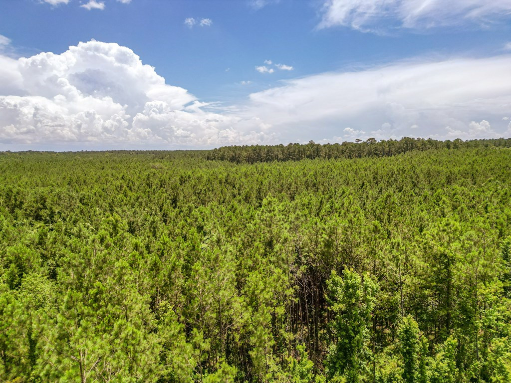 3320 Busy Corner Road Gloster, MS 39638 - Photo 10 of 29 Photo 10