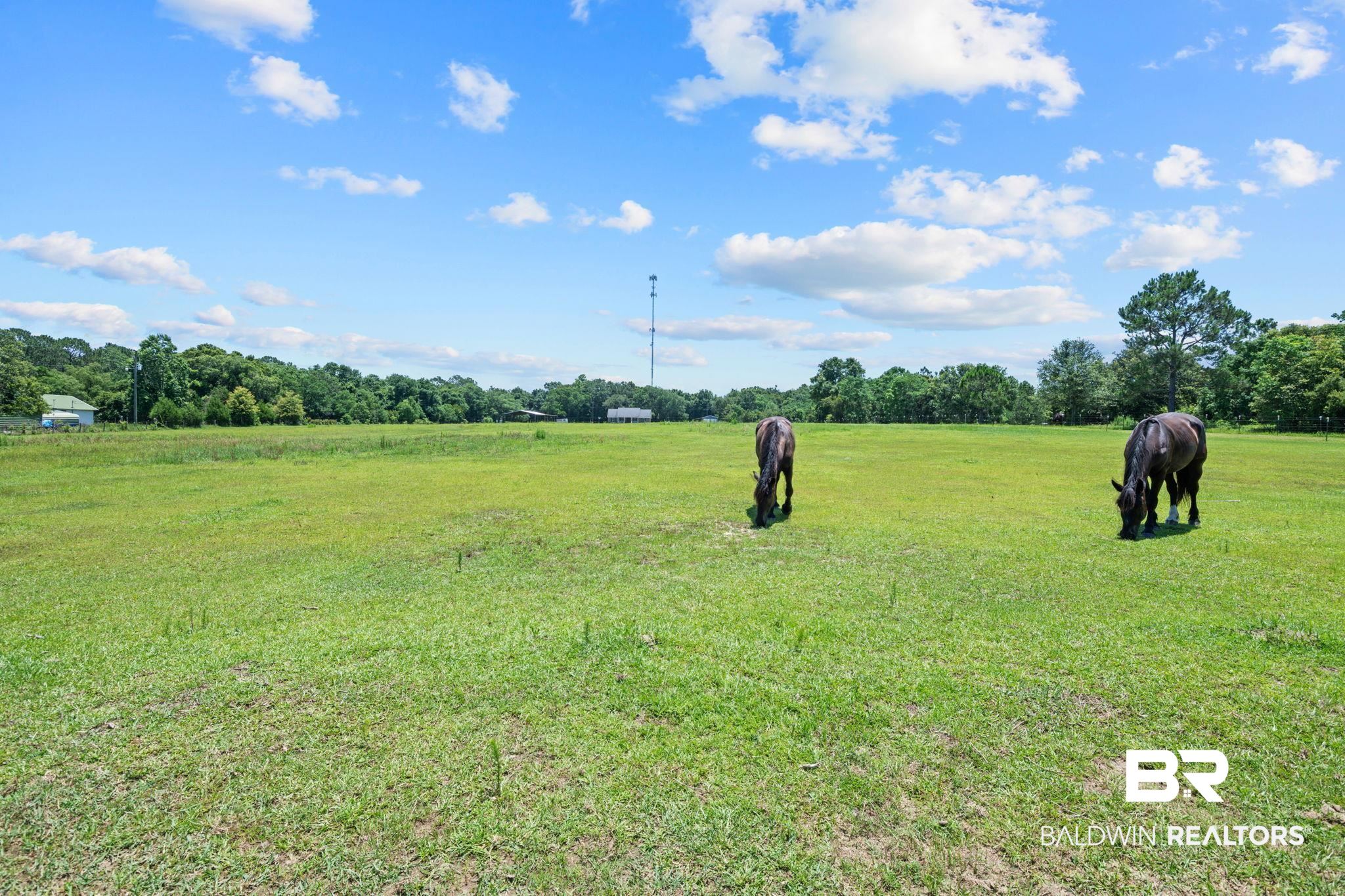 6123 Ranch Loop Road East Grand Bay, AL 36541 - Photo 4 of 48