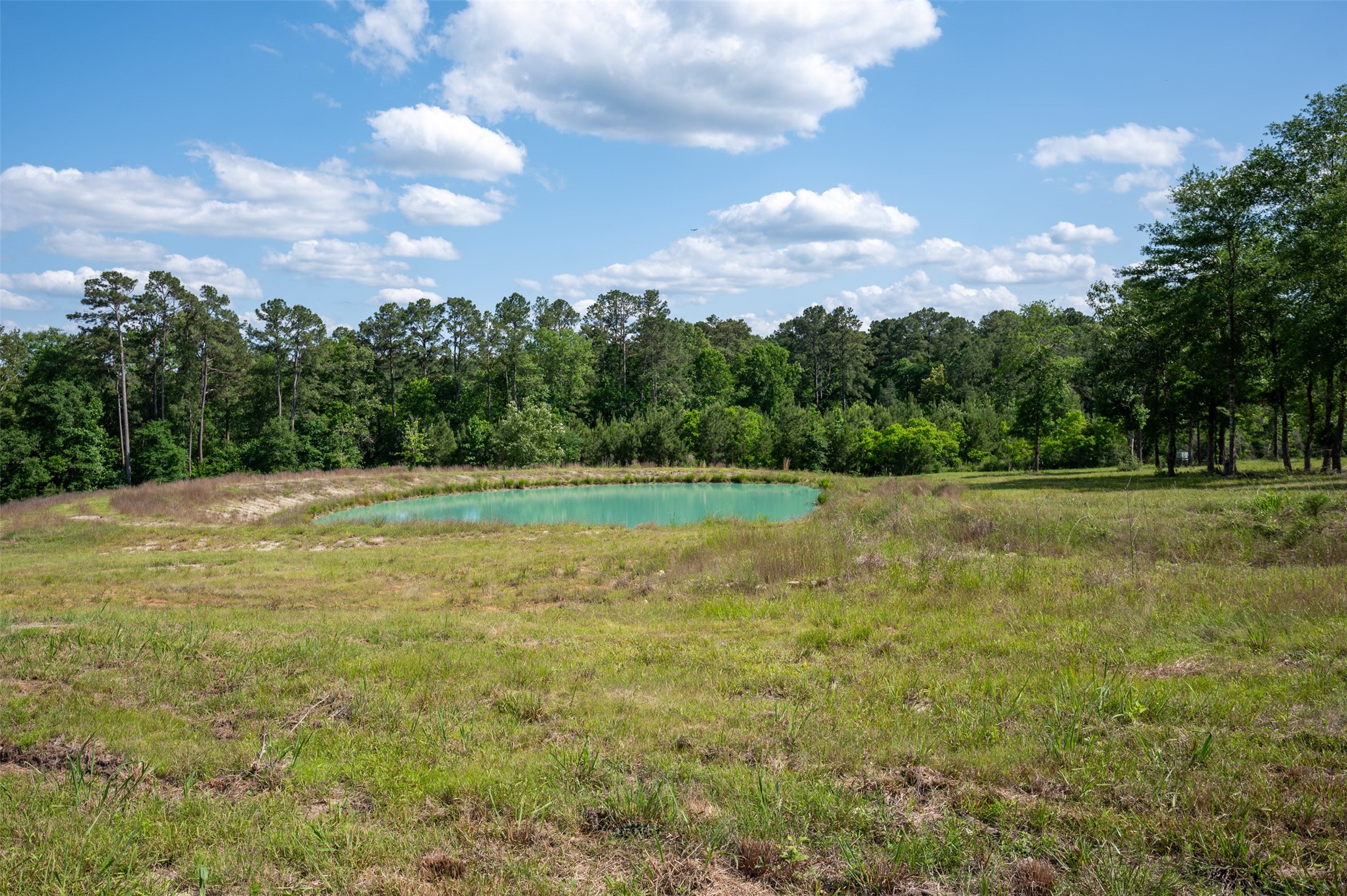 1068 County Road 3200 Colmesneil, TX 75938 - Photo 8 of 43 a view of a field with an ocean