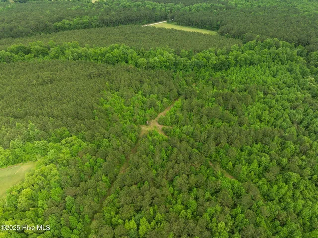 $125,000 | Tbd Tbd Nc-50, Wallace, NC 28466