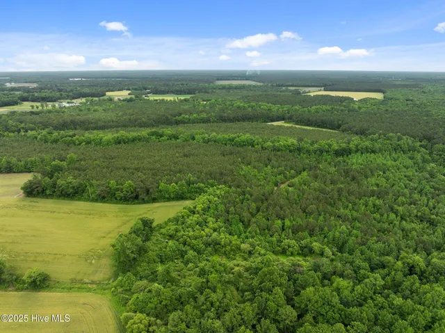 $125,000 | Tbd Tbd Nc-50, Wallace, NC 28466