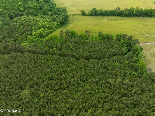 $125,000 | Tbd Tbd Nc-50, Wallace, NC 28466