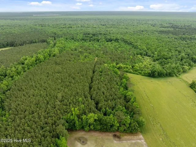 $125,000 | Tbd Tbd Nc-50, Wallace, NC 28466