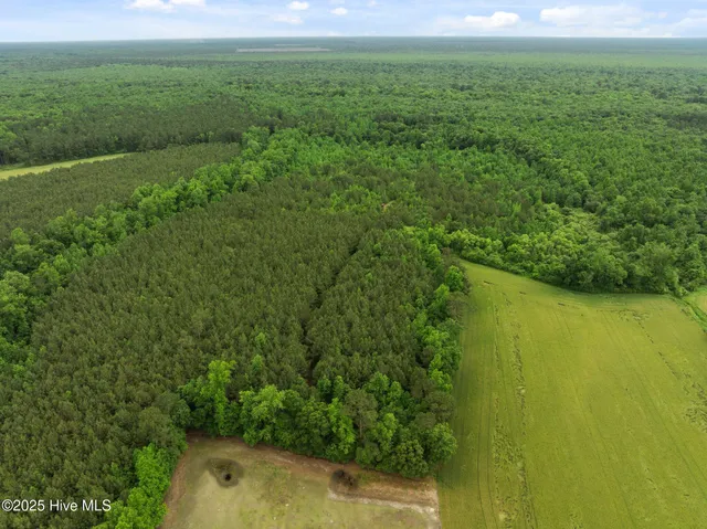 $125,000 | Tbd Tbd Nc-50, Wallace, NC 28466