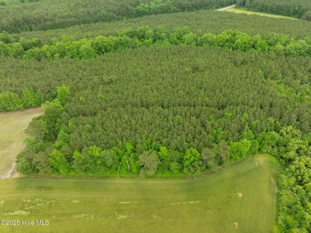 $125,000 | Tbd Tbd Nc-50, Wallace, NC 28466