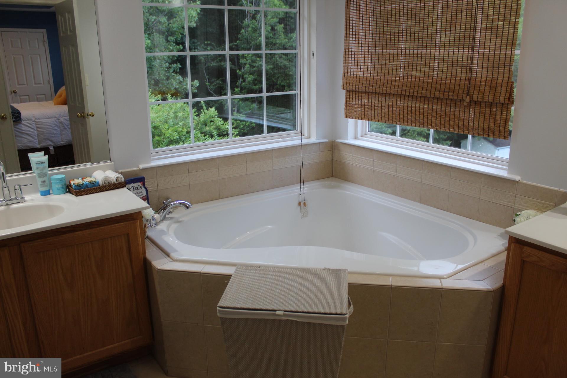1200 Strausberg Street Accokeek, MD 20607 - Photo 14 of 15 Master bath