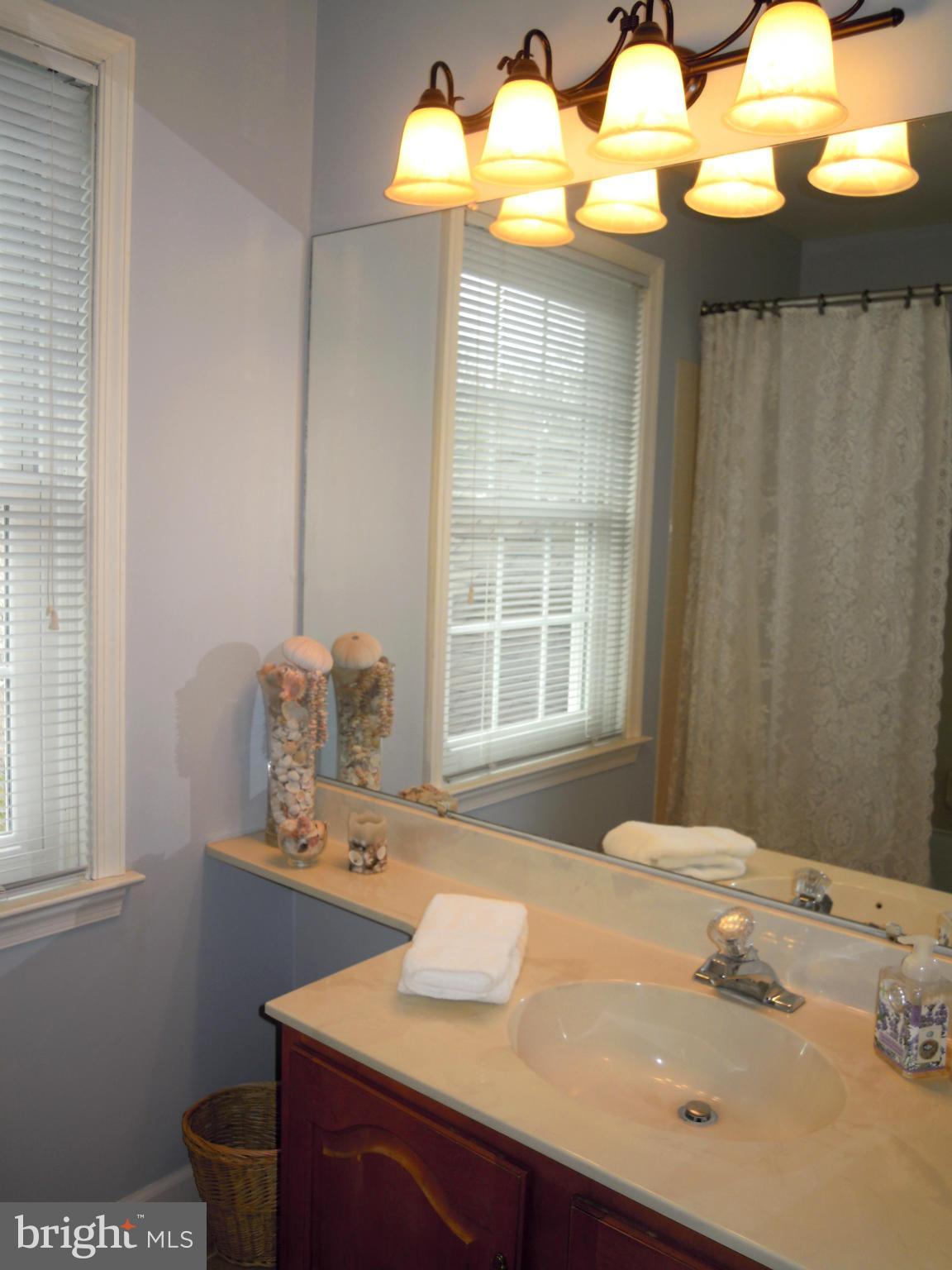 256 Hunters Ridge Road Lutherville-Timonium, MD 21093 - Photo 22 of 30 Bath