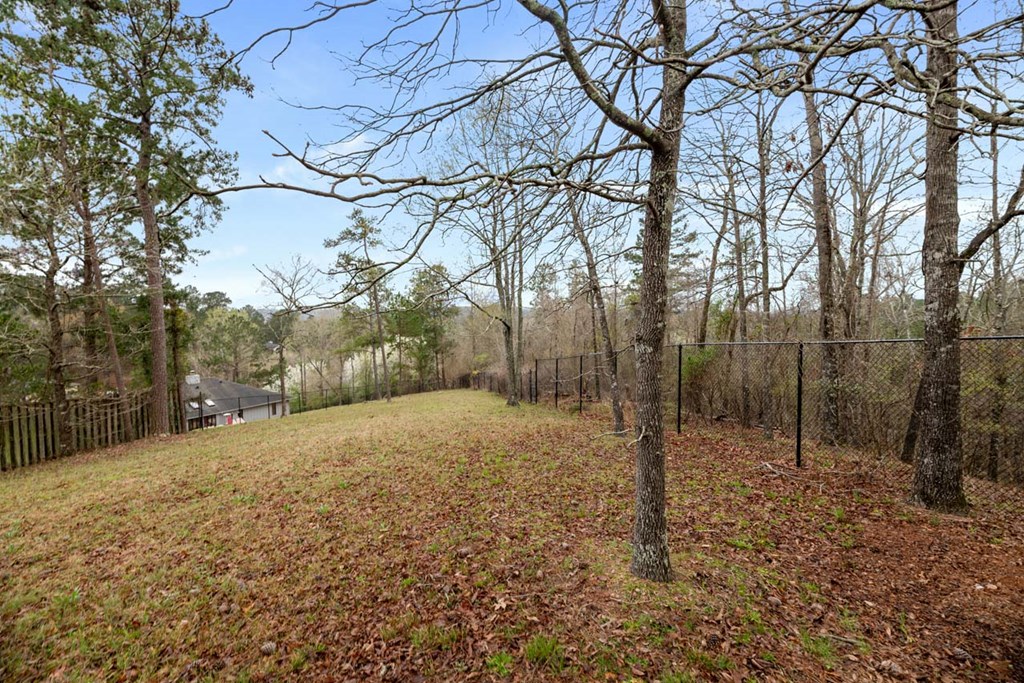 7313 Winding Ridge Road Columbus, GA 31904 - Photo 8 of 59 Gallery Image 8