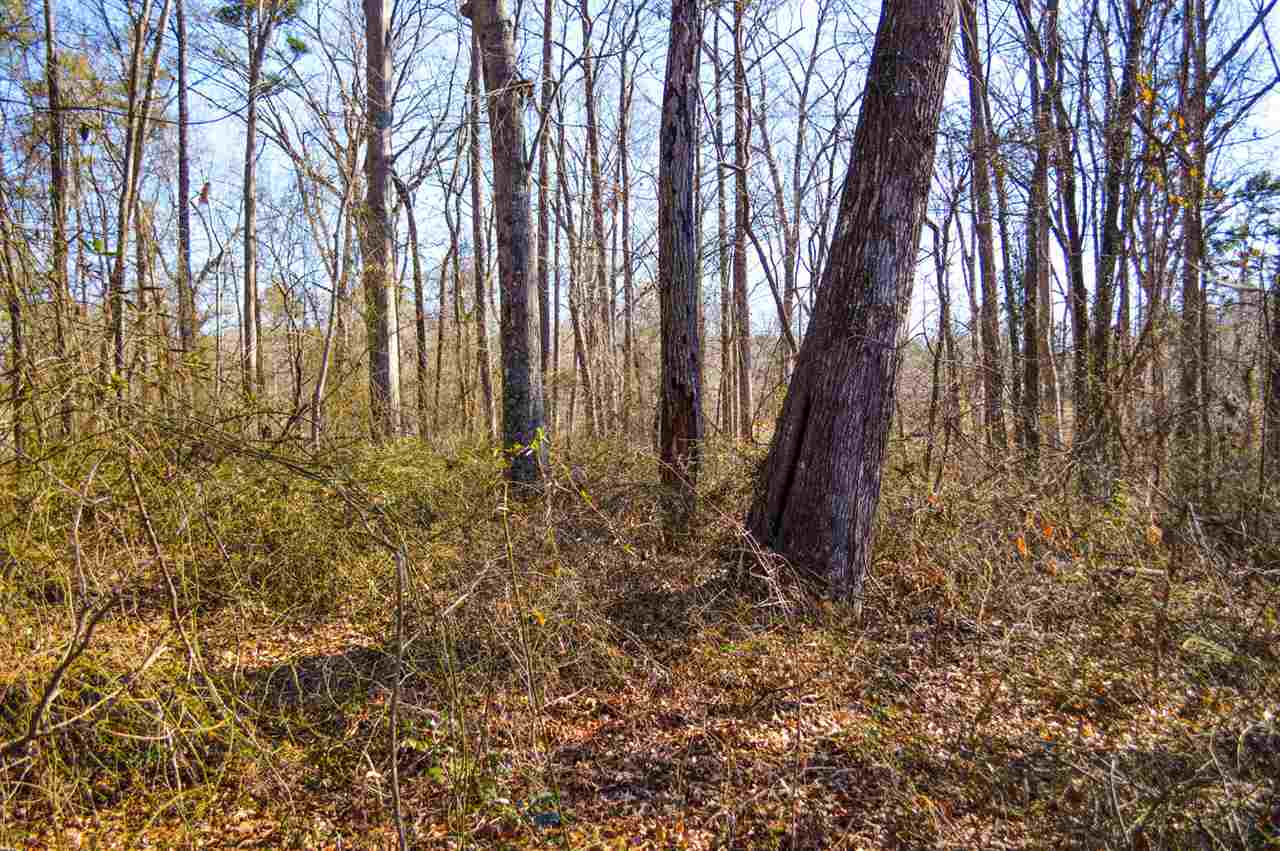 Rosecrest Road Spartanburg, SC 29303 - Photo 2 of 4 Gallery Image 2