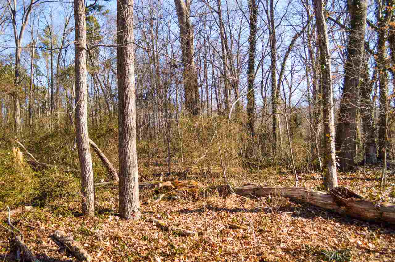 Rosecrest Road Spartanburg, SC 29303 - Photo 3 of 4 Gallery Image 3