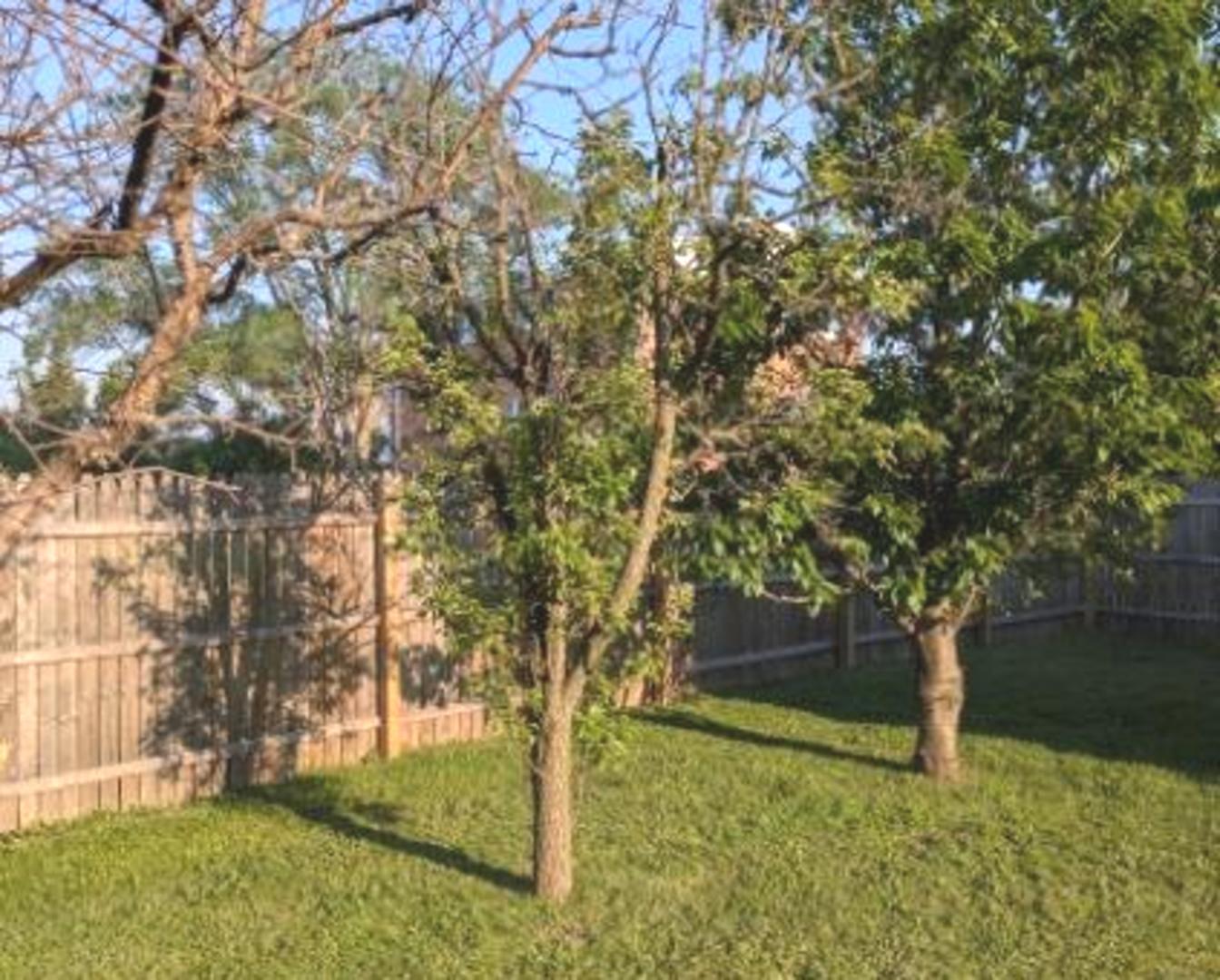 21W185 Tee Lane, Unit C Itasca, IL 60143 - Photo 18 of 24