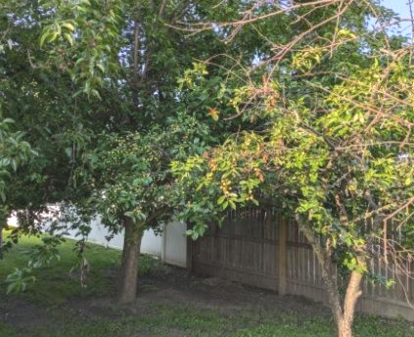 21W185 Tee Lane, Unit C Itasca, IL 60143 - Photo 19 of 24