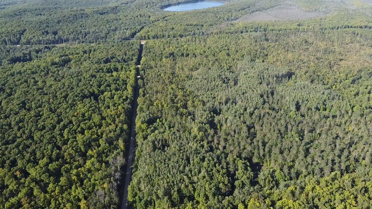 11-acres Tower Road Crandon, WI 54520 - Photo 11 of 15 Gallery Image 11