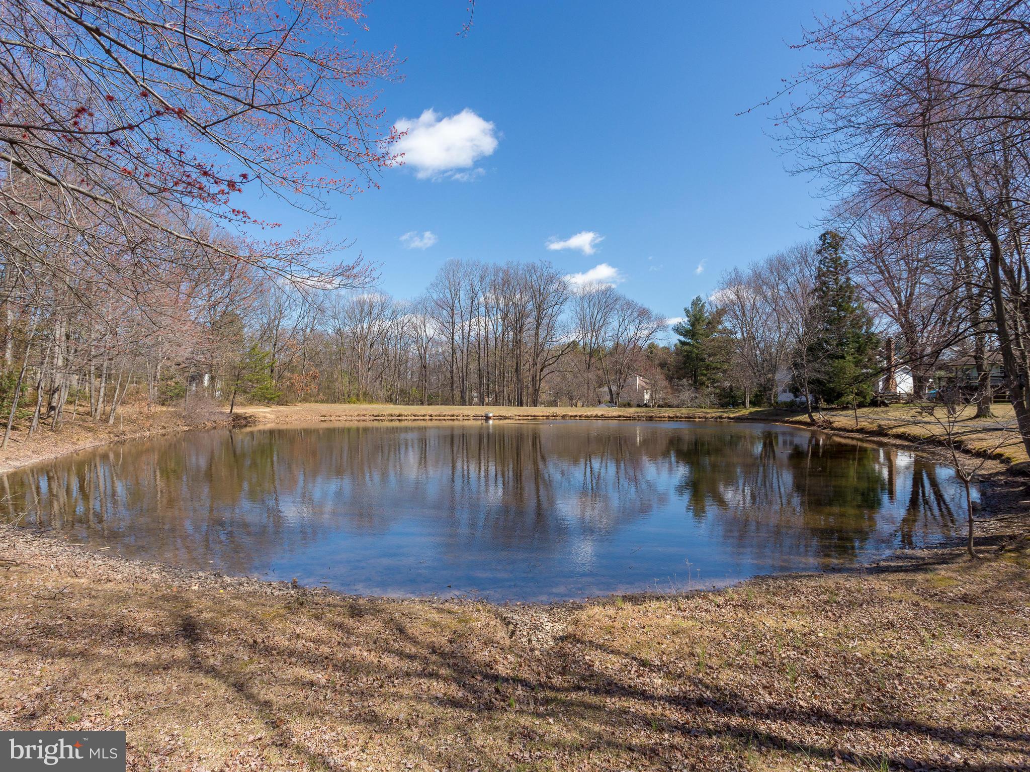Backs to tranquil pond - WOW!