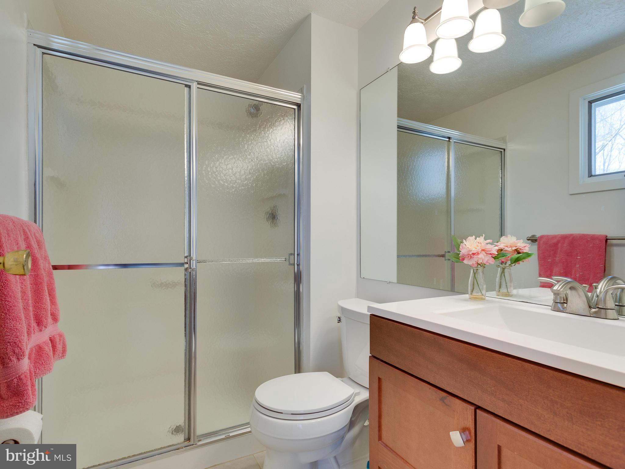 6107 Mantle Road Burke, VA 22015 - Photo 24 of 30 Bath (Master)