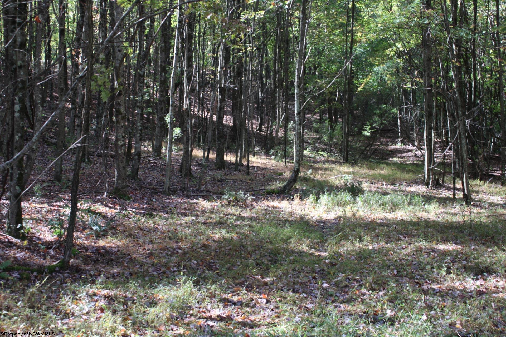 1429 Sand Bank Road Masontown, WV 26542 - Photo 9 of 23 Gallery Image 9