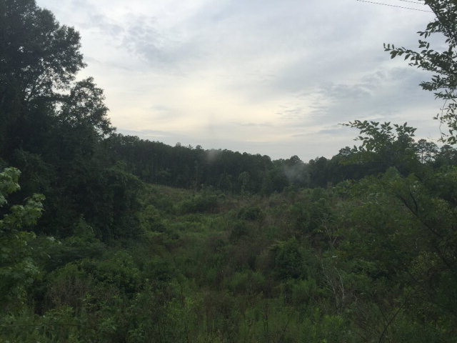 3110 Providence Road Roxie, MS 39661 - Photo 1 of 1 Main View
