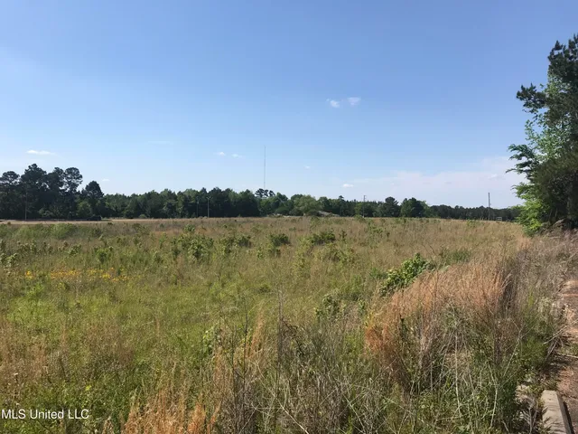 $3,900,000 | 1338 Brookway Boulevard, Brookhaven, MS 39601