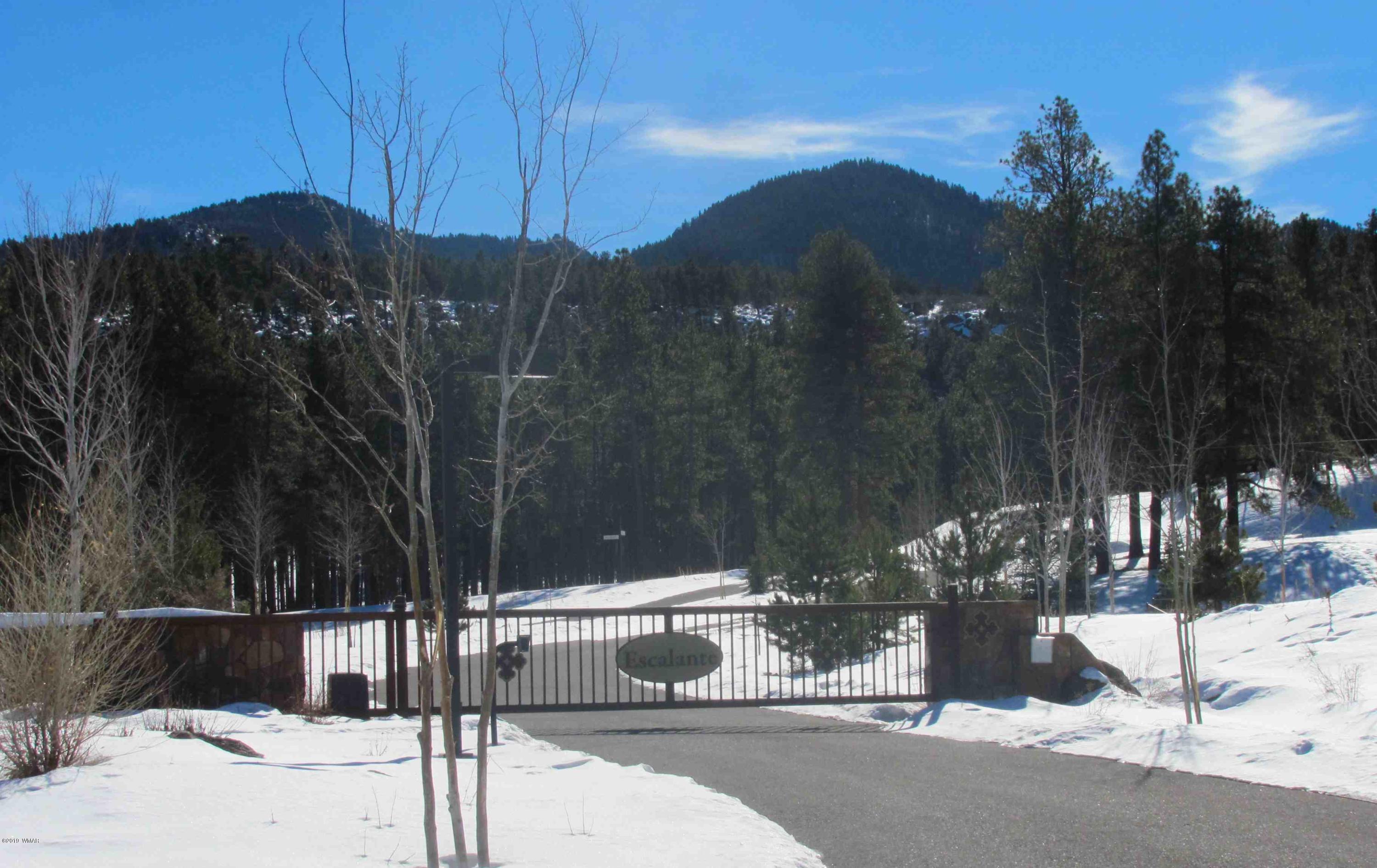 1152 Redwall Way Williams, AZ 86046 - Photo 2 of 9