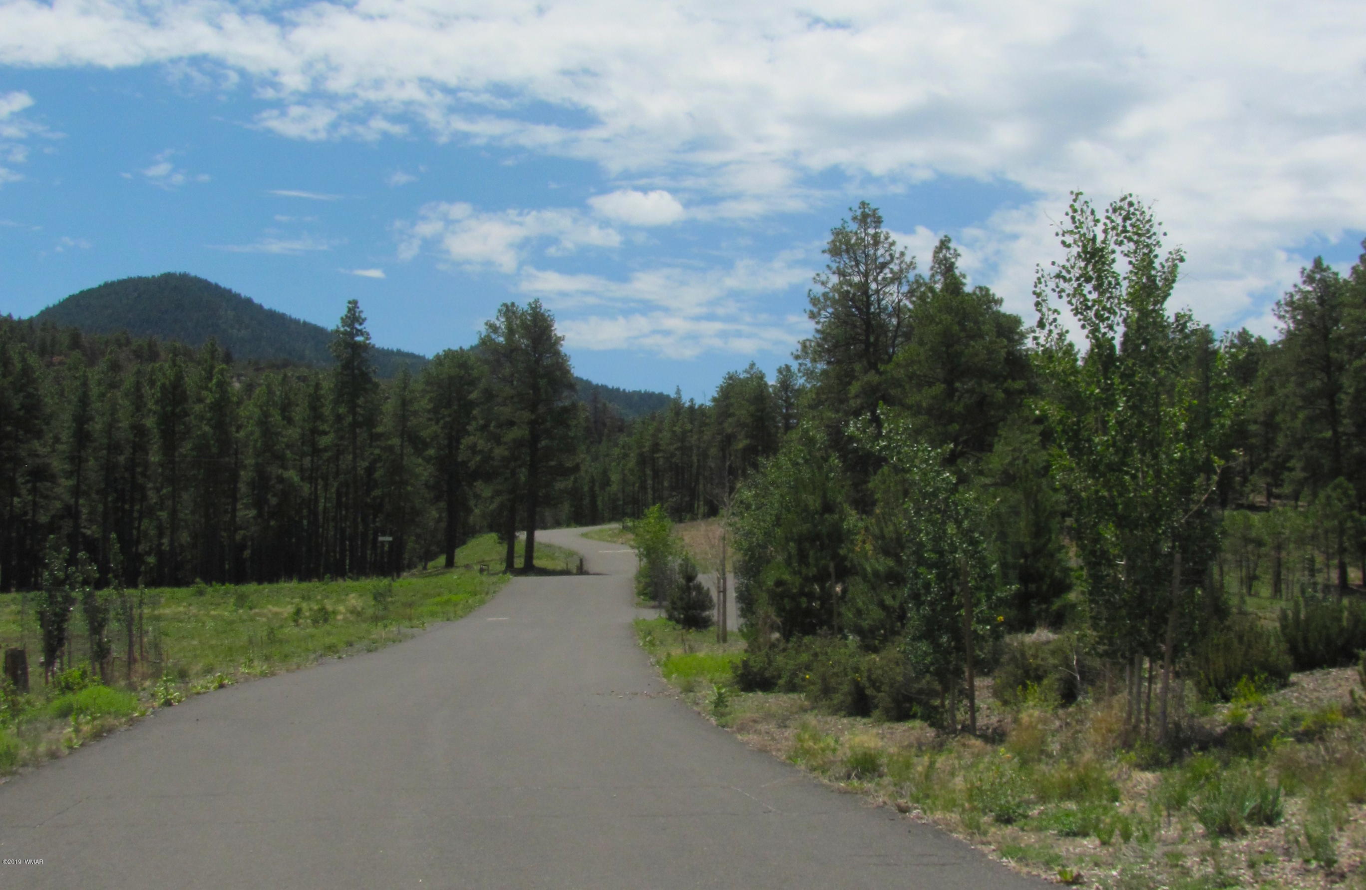 1152 Redwall Way Williams, AZ 86046 - Photo 4 of 9