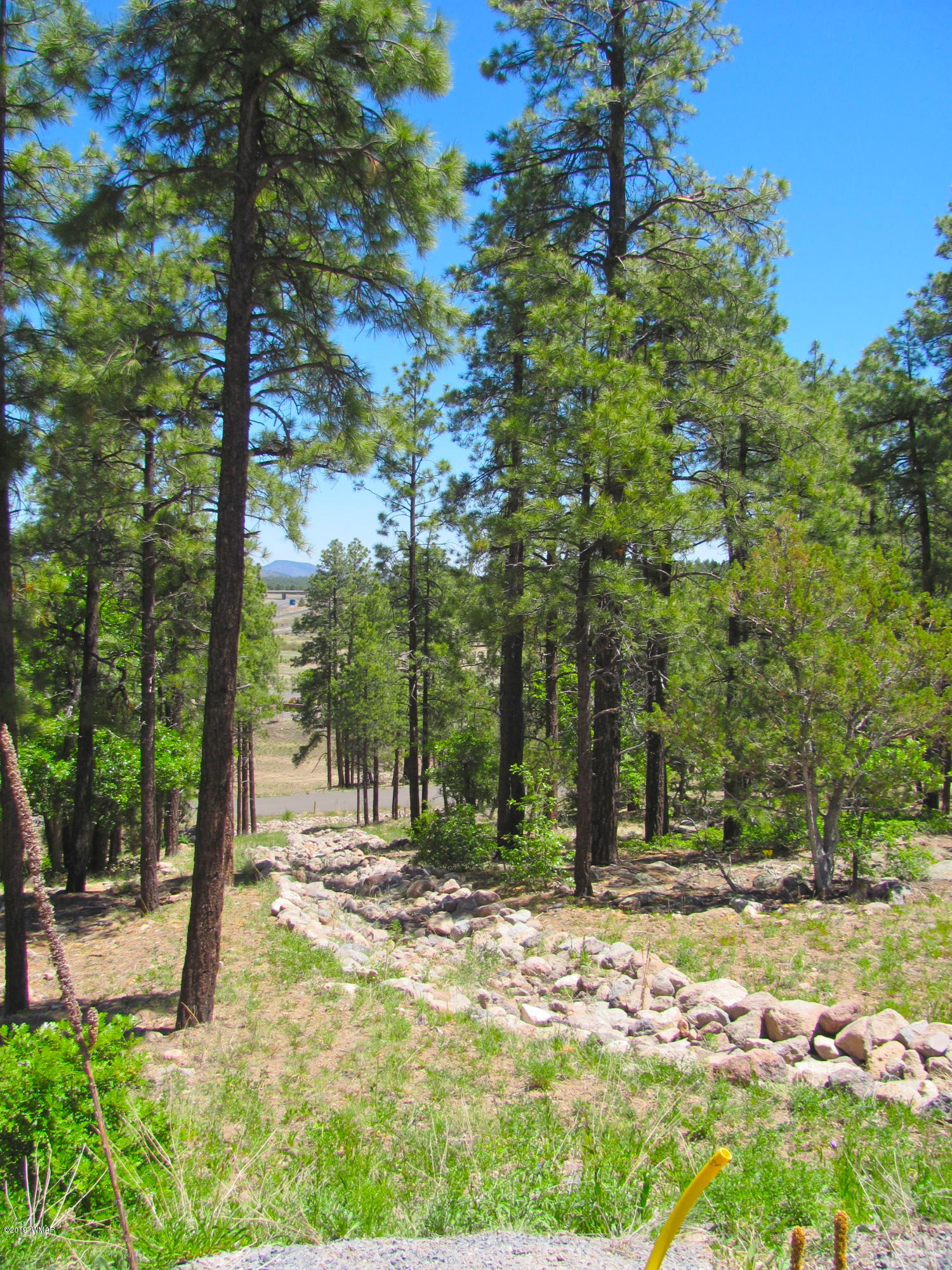 1152 Redwall Way Williams, AZ 86046 - Photo 5 of 9