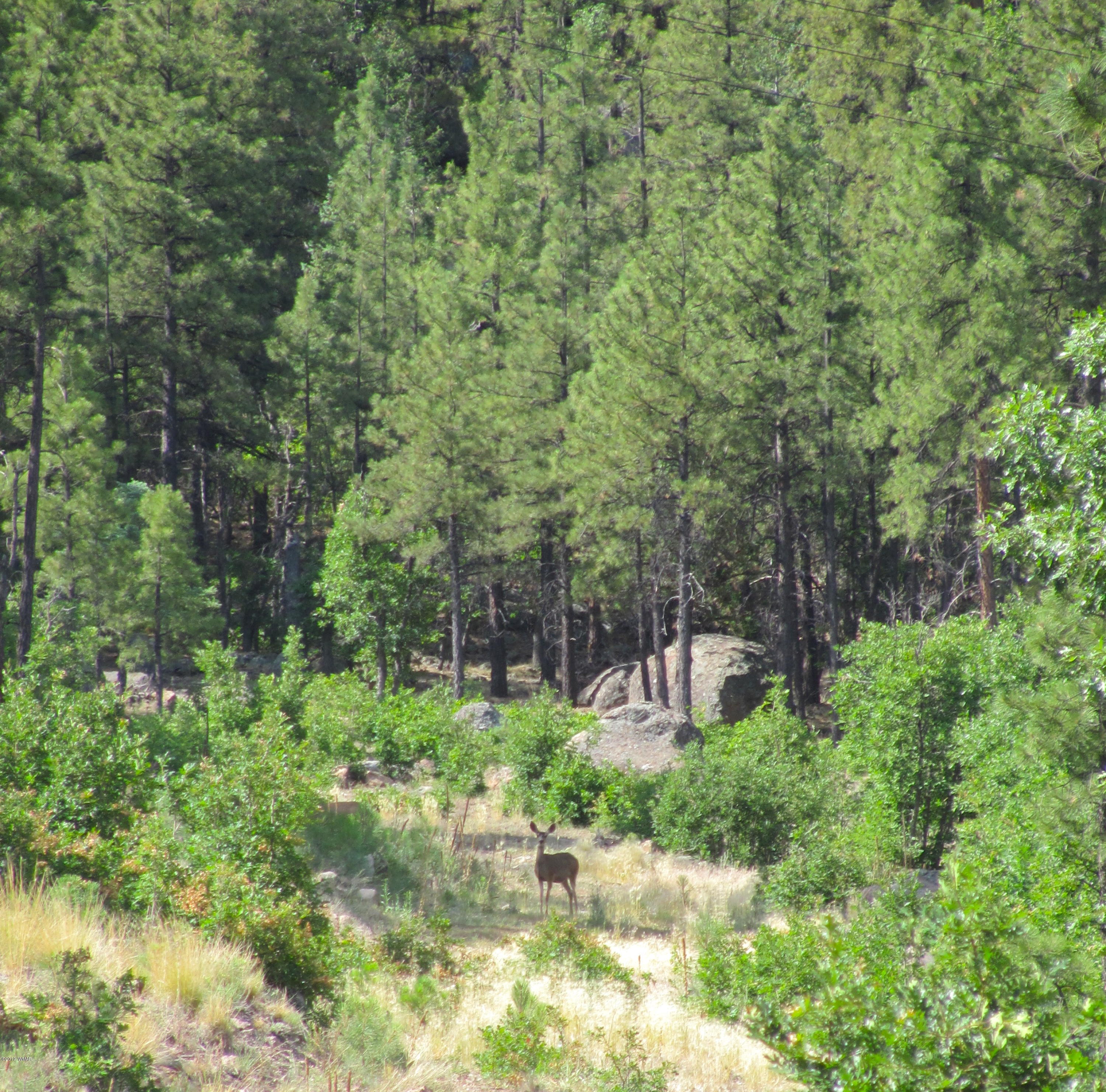 1152 Redwall Way Williams, AZ 86046 - Photo 7 of 9
