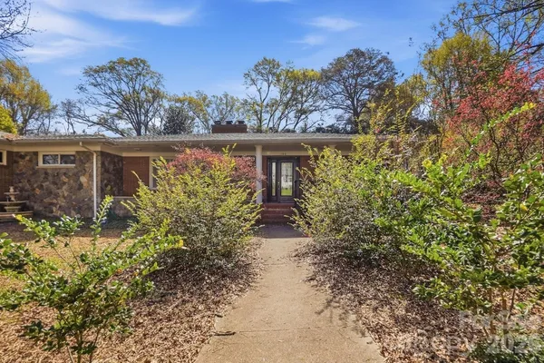 a view of a patio with chairs and a potted plant